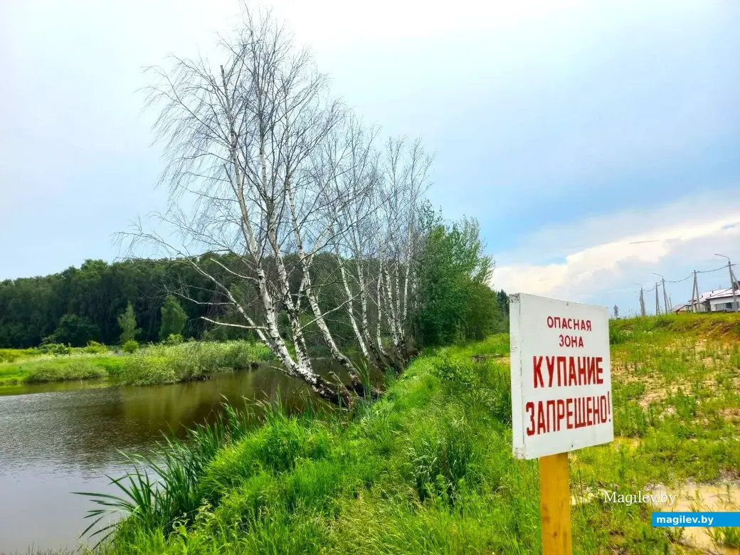 Июнь 2024 г., Могилев, Казимировка. Озеро № 2.