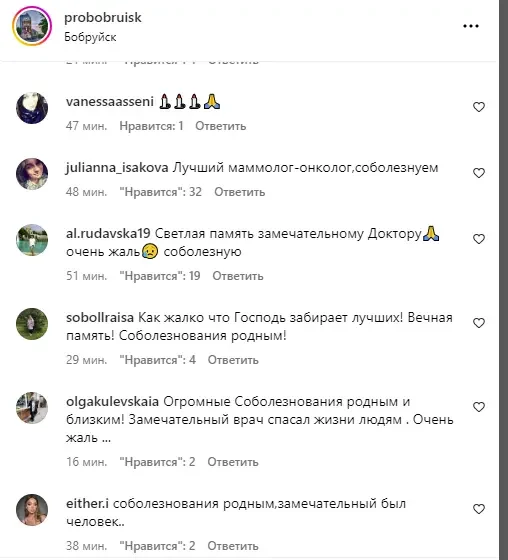 Скриншот. https://www.instagram.com/probobruisk/