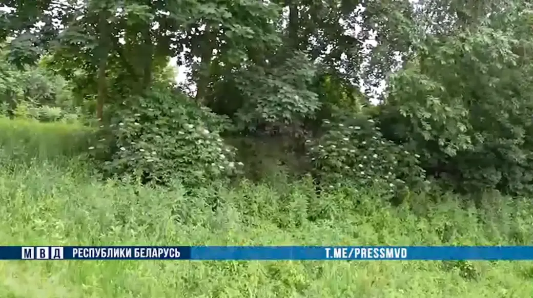 Здесь 24 года назад была найдена убитая женщина. Могилев. Фото: МВД РБ