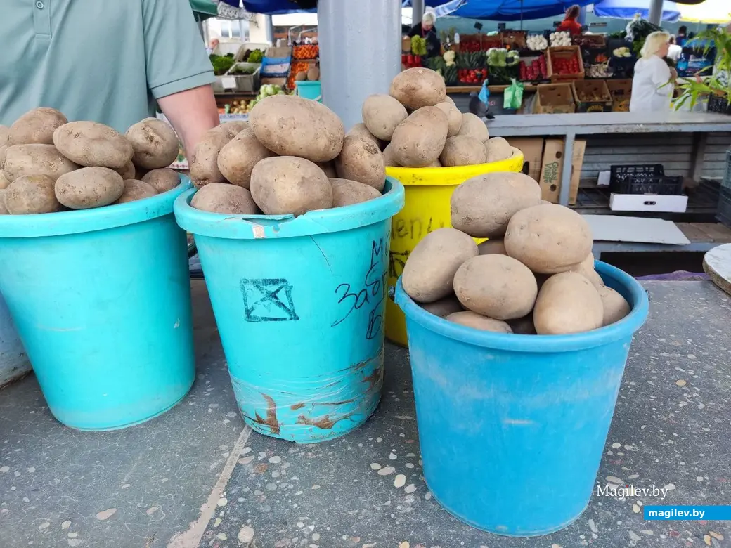 13.06.2024 г. Могилев, Центральный (Минский) рынок