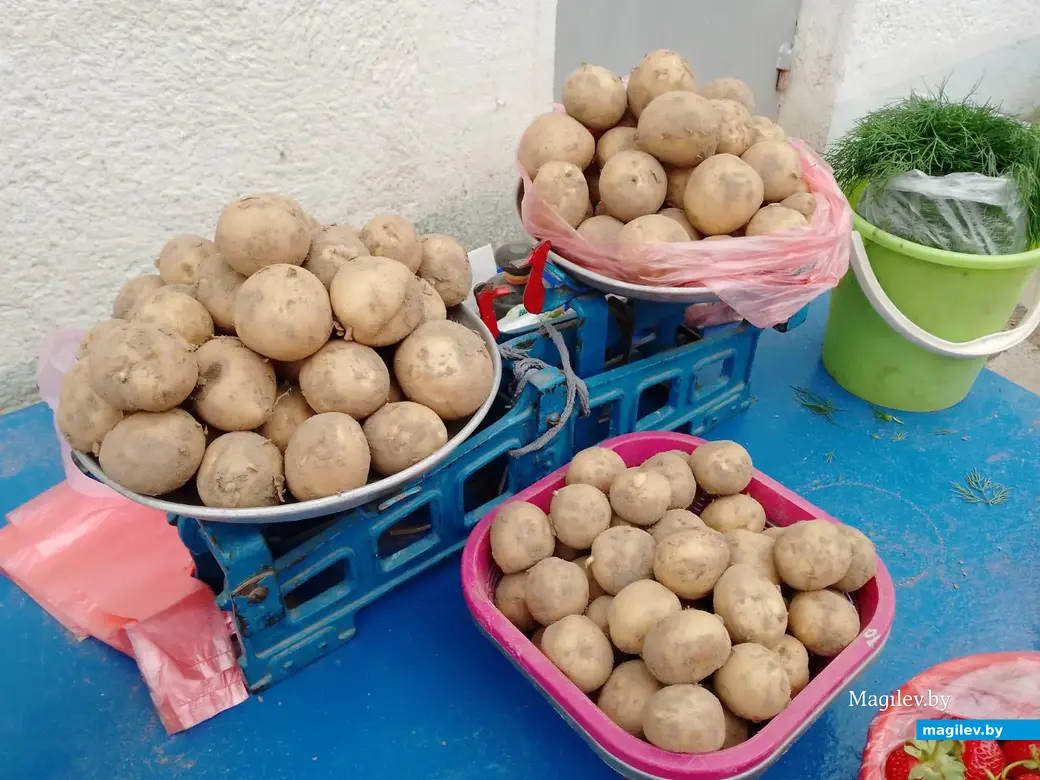 14.06.2024 г. Могилев, мини-рынок на Островского