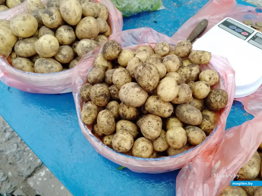 14.06.2024 г. Могилев, мини-рынок на Островского