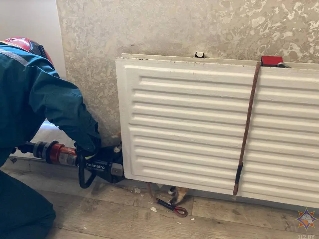 15 июня 2024 года. Береза, Брестская область. Кошка застряла в батарее. При помощи специального инструмента работники МЧС помогли домашнему животному выбраться из