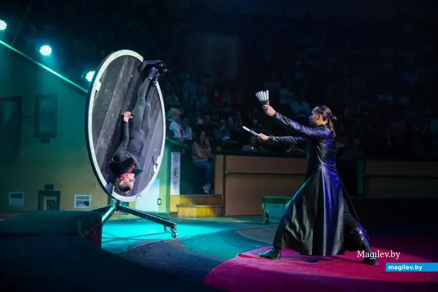 Программа «Сафари» Белорусского государственного цирка.