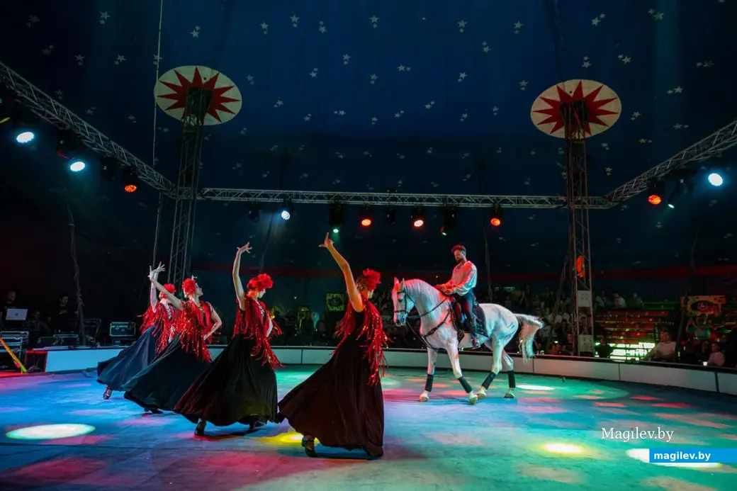 Программа «Сафари» Белорусского государственного цирка.