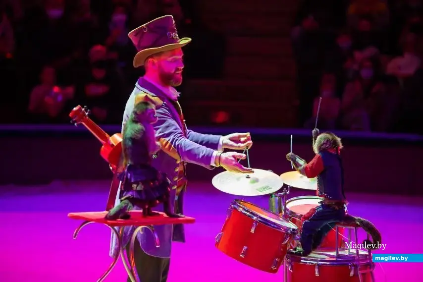 Программа «Сафари» Белорусского государственного цирка.