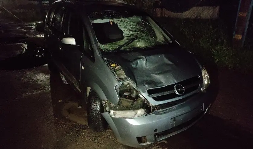 10.06.2024 г. Смертельное ДТП в Бобруйске. Фото: УГКСЭ по Могилевской области