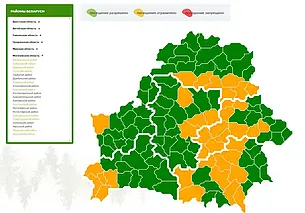 Ограничения на посещение лесов действуют в 11 районах Могилевской области