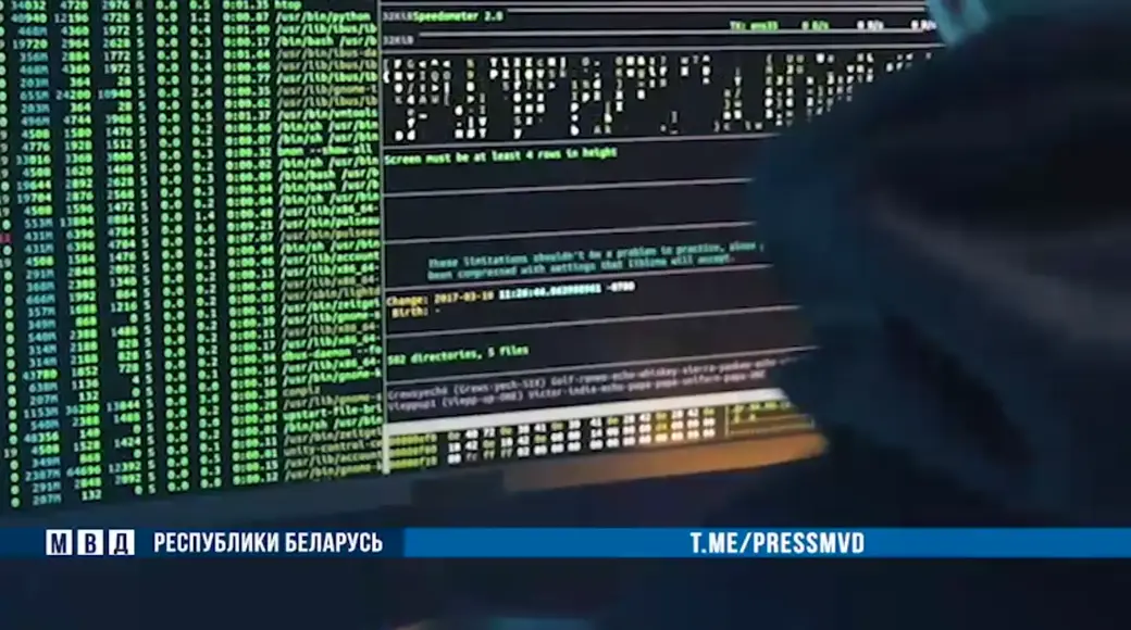 Фото: скриншот с видео МВД РБ