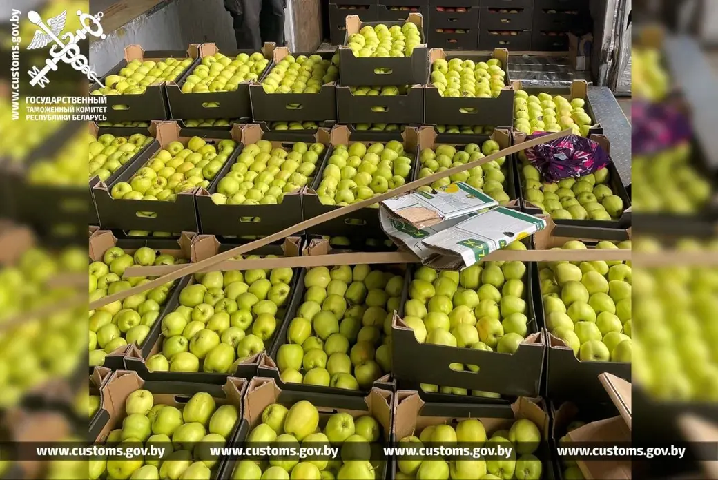 Фото: ТГ-канал Государственного таможенного комитета РБ