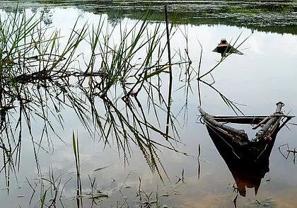 В Днепре утонул пенсионер: его тело обнаружено в реке возле Буйнич