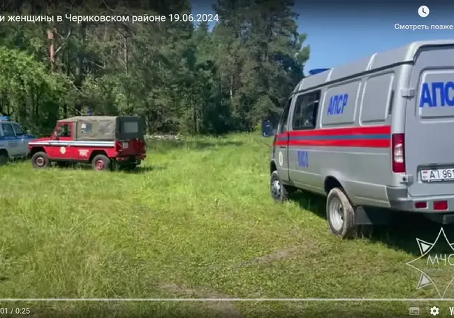 В лесу в Чериковском районе пропала женщина. Ее ищут уже трое суток (видео)