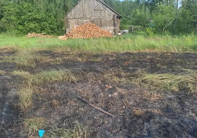 Хотела сжечь траву: в Хотимском районе пенсионерка получила серьезные ожоги и погибла