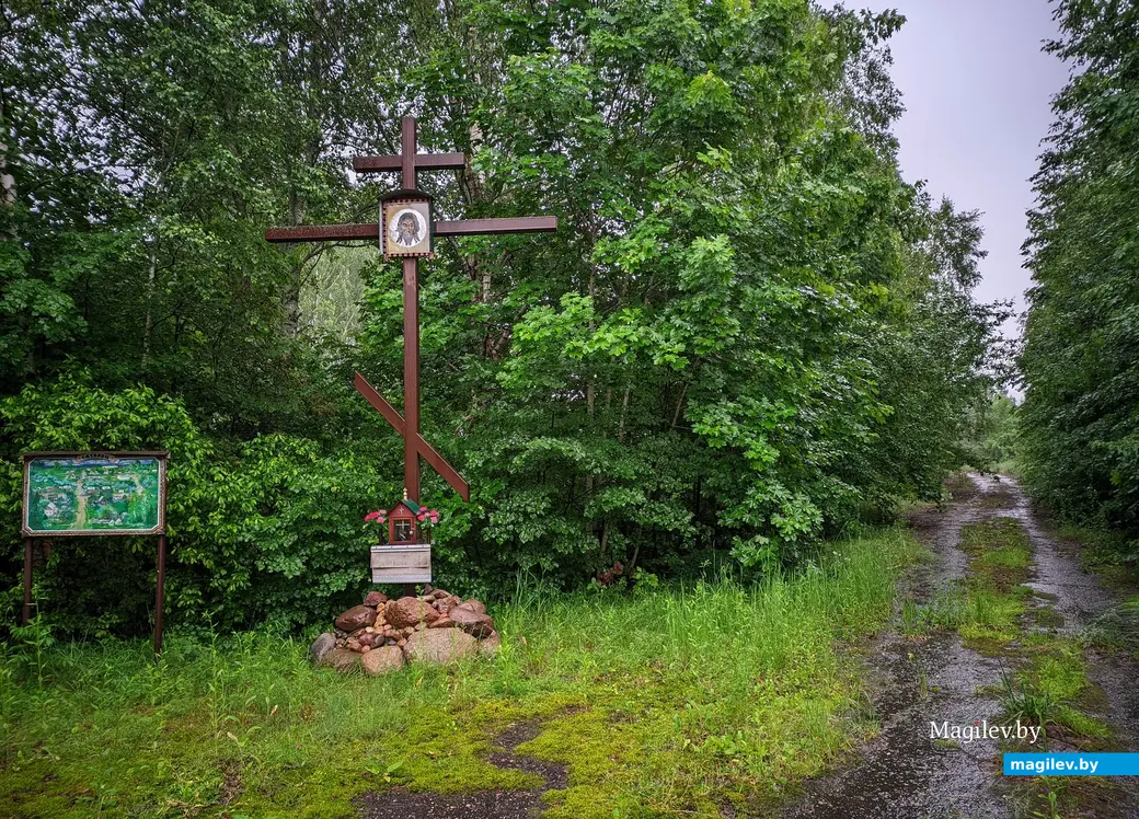 Краснопольский район. В память о выселенной деревне Готовец установлен крест.