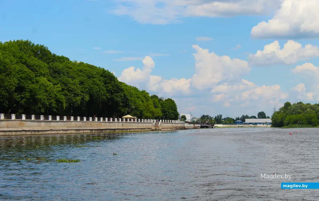 18 июня 2024 года. Пинск. Вид на город во время водной прогулки.