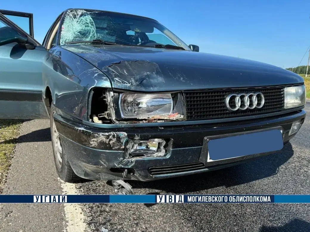 22 июня 2024 года. На трассе Бобруйск – Могилев в Кировском районе погибла велосипедистка.