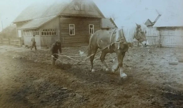 Предположительно, конец 1960-х. Посадка картошки возле дома Анны Петровны.