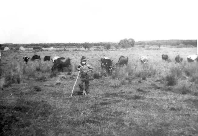 1970-е. Сын Анны Петровны, Олег, пасет коров