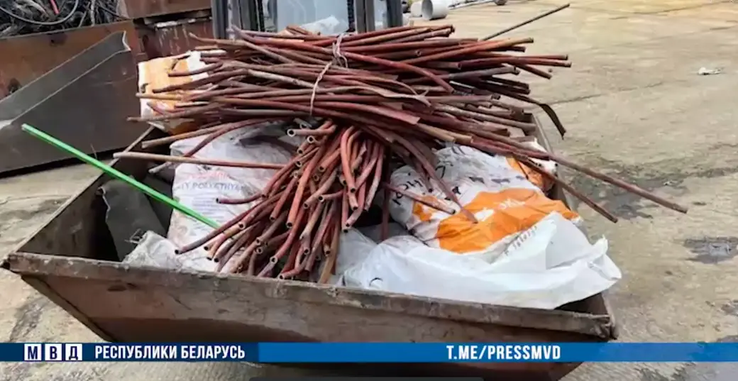 Фото: стоп-кадр видео МВД РБ