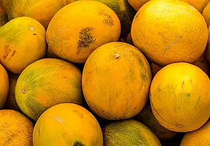 Должна быть как гандбольный мяч: выбираем вкусную дыню