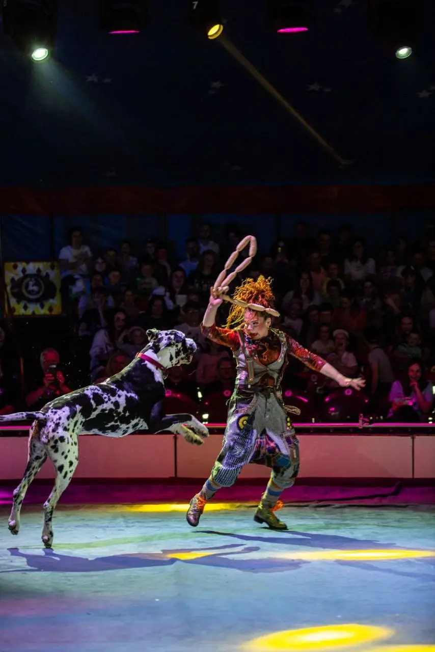 Цирк-шапито Белгосцирка привез в Могилев программу «Сафари».