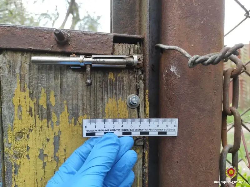 Фото: управление ГКСЭ по Могилевской области