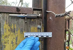 Кражу из дачного домика бобруйчанина помогли раскрыть судэксперты