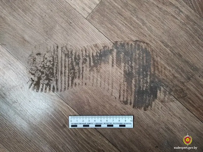 Фото: управление ГКСЭ по Могилевской области