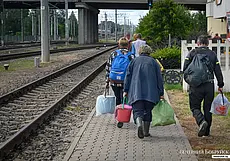 Собираетесь по ягоды-грибы? Почитайте, какие налоги вам нужно уплатить