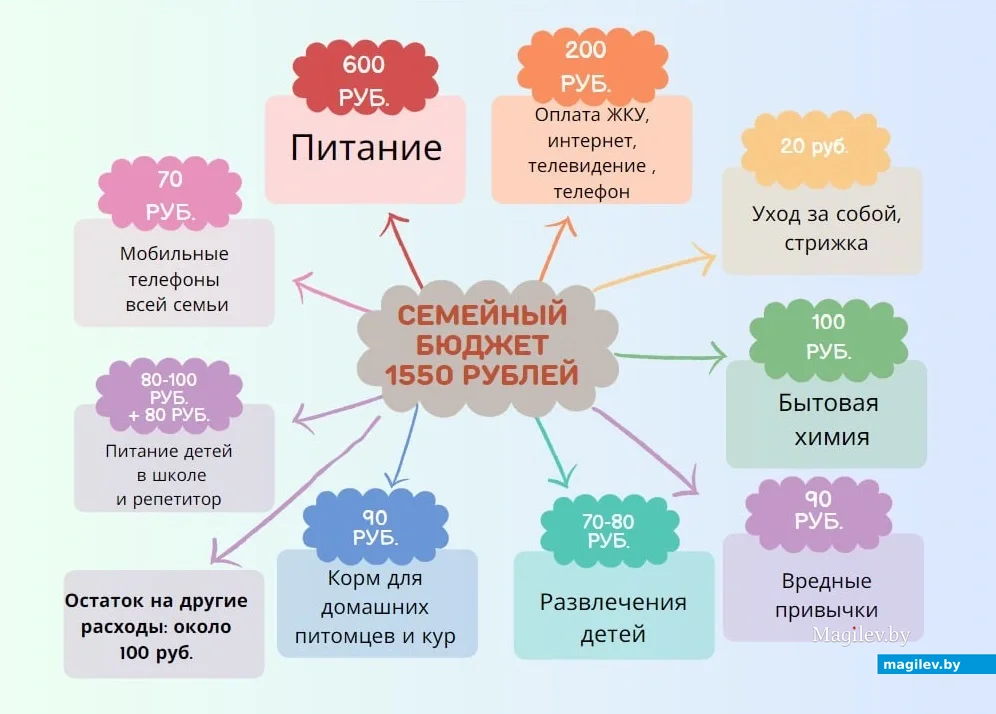 Семейный бюджет педагога Елены из Глуска. Инфографика автора.