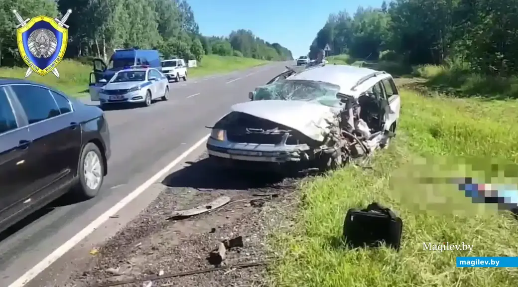 27.06.2024 г. Могилевский район. Фото: стоп-кадр видео УСК по Могилевской области