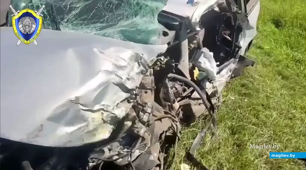 27.06.2024 г. Могилевский район. Фото: стоп-кадр видео УСК по Могилевской области