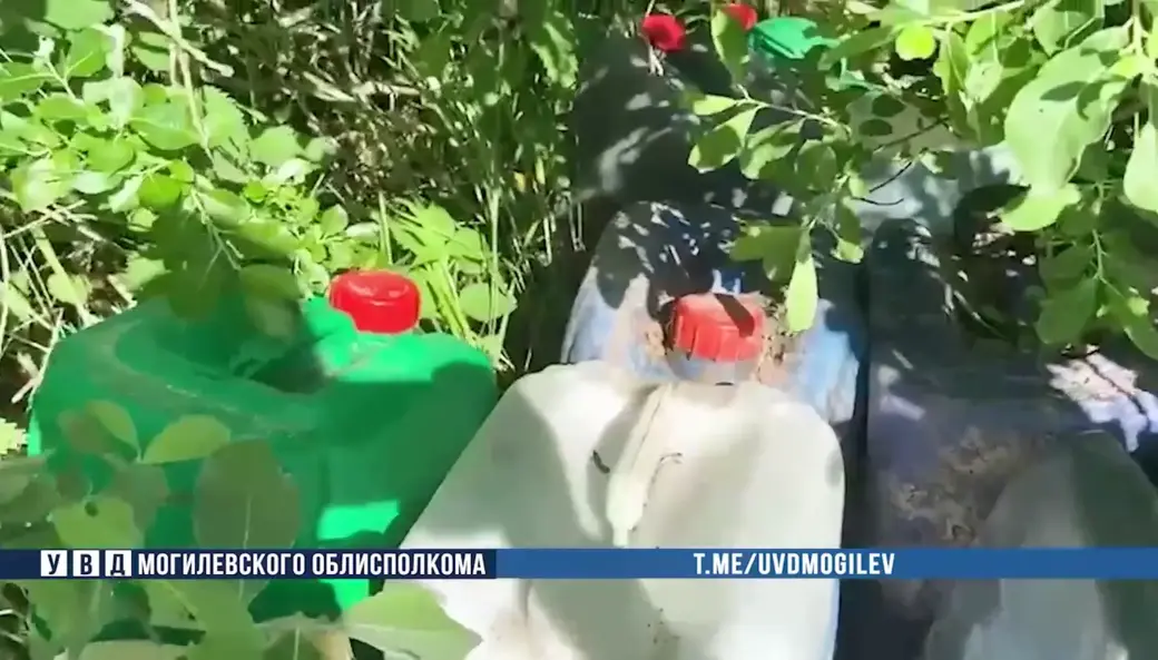 Фото: УВД Могоблисполкома