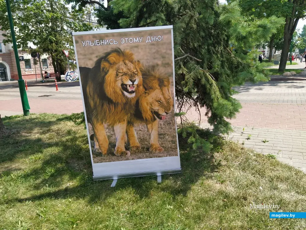 29 июня 2024 года. Могилев празднует свой 757 день рождения.