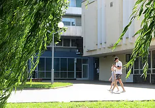 Дополнительный выходной, больничные и пенсии по-новому, изменения для блогеров