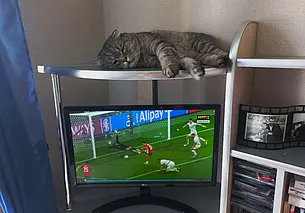 Гол на последних секундах, или Нужный результат приходит к настойчивым