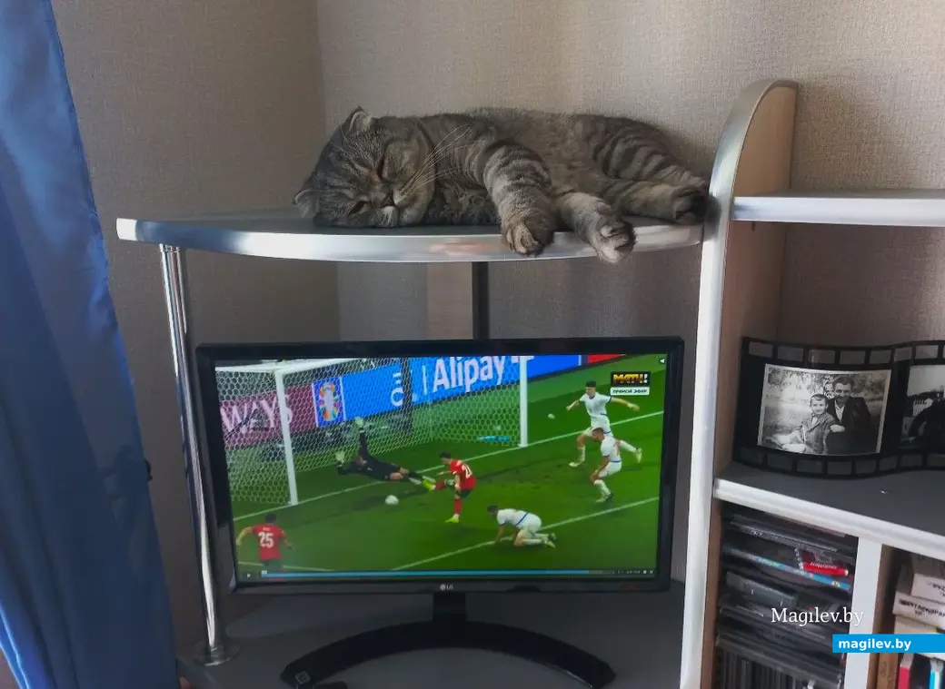 Июнь 2024 г., Могилев. «Солдат» спит, а футбол идет.