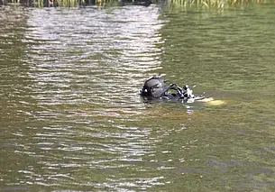 В Бобруйске утонул подросток: пытался переплыть реку