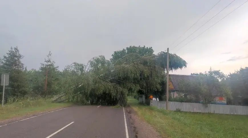 02.07.2024г. МЧС о последствиях грозового фронта: повреждены кровли 23 жилых домов, упало 80 деревьев. Фото МЧС