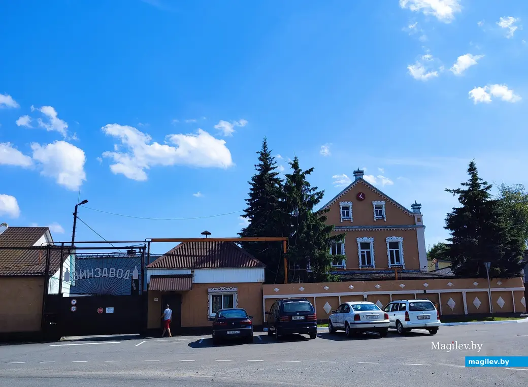 Путешествие одного дня на Гомельщину. Чечерск, винзавод. Июнь 2024 г.