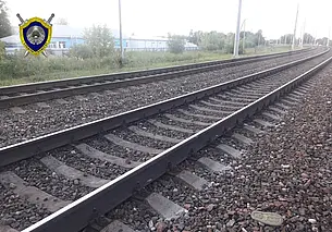 В Жлобине 8-летняя девочка погибла под колесами электропоезда
