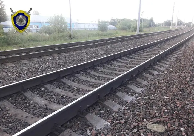 В Жлобине 8-летняя девочка погибла под колесами электропоезда