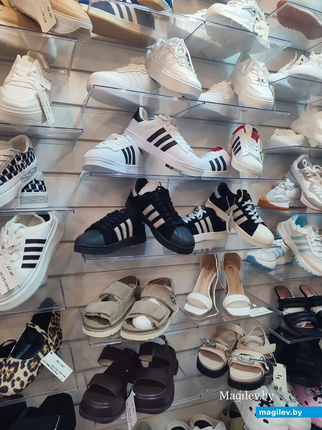 Магазине Тop_Top в ТЦ «Панорамa», 9 июля 2024 г.