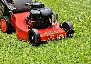 Хотите здоровый и красивый газон? Избегайте распространенных ошибок при стрижке травы