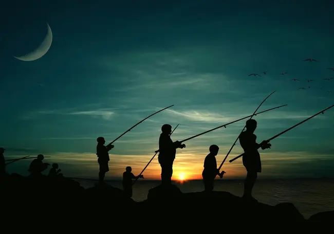 Почему лучше рыбачить ночью, а не днем: преимущества ночной рыбалки