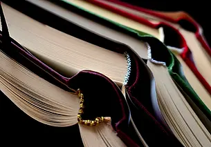 В школах Беларуси появятся пять новых факультативов