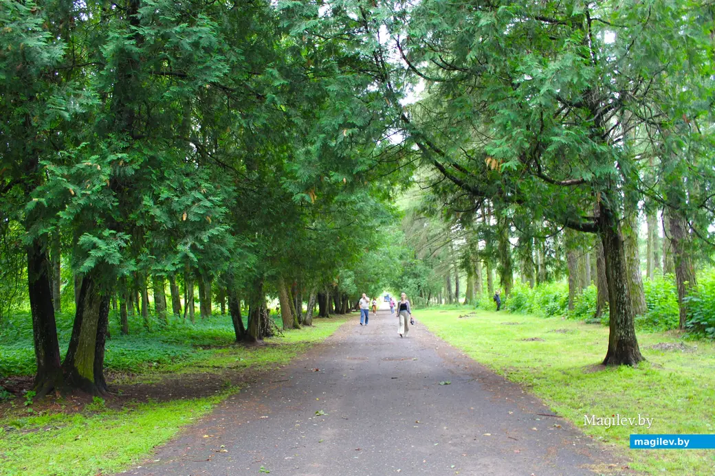 Июль 2024 года. Усадьба Толстых в Грудиновке. Грудиновский парк.