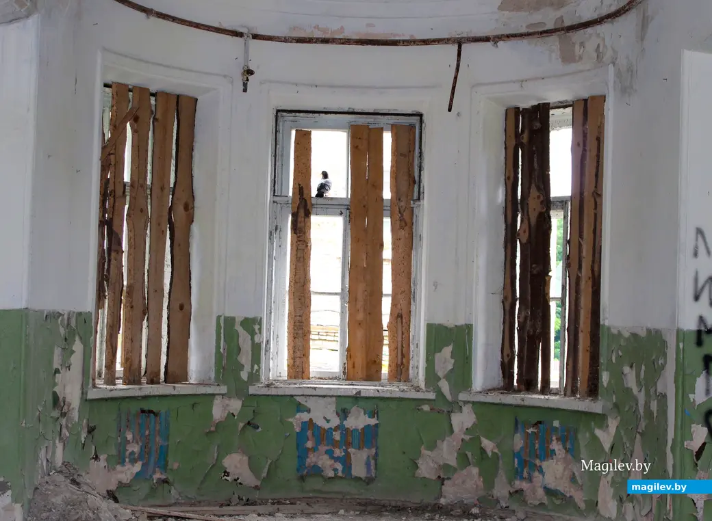 Июль 2024 года. Усадьба Толстых в Грудиновке. Грудиновский парк.