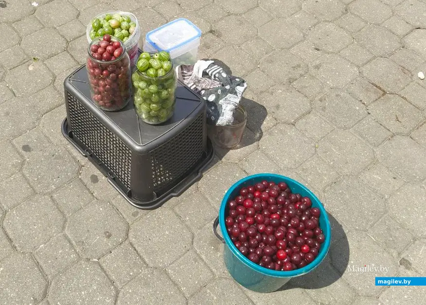 12 июля 2024 года. Могилев. Привокзальный рынок.