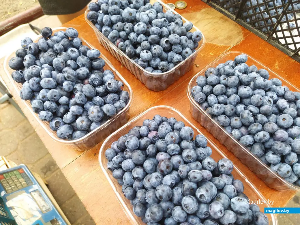 12 июля 2024 года. Могилев. Привокзальный рынок.